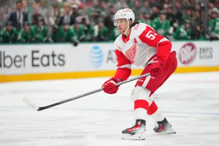 Friends Together named Detroit Red Wings Charity of the Game